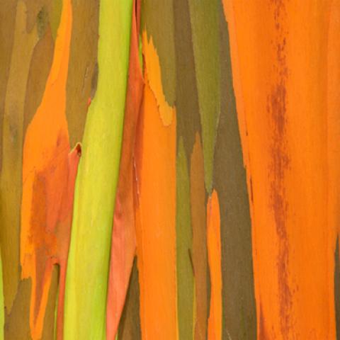 image abstract_lr_0036-jpg