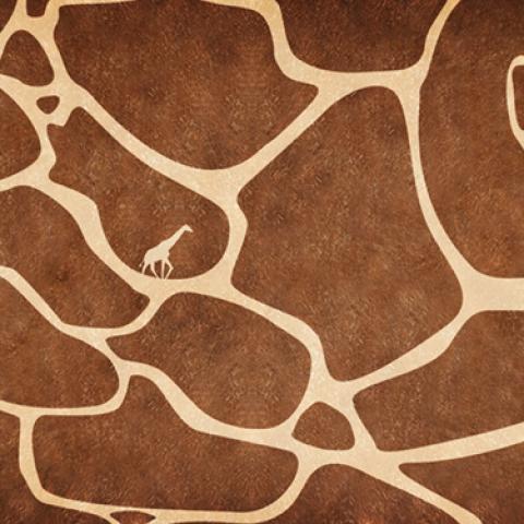 image abstract_lr_0108-jpg