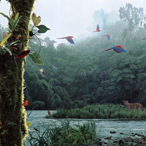 image birds_lr_0016-jpg