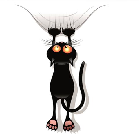 image cats_hr_0046-jpg