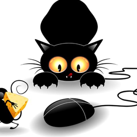 image cats_hr_0048-jpg