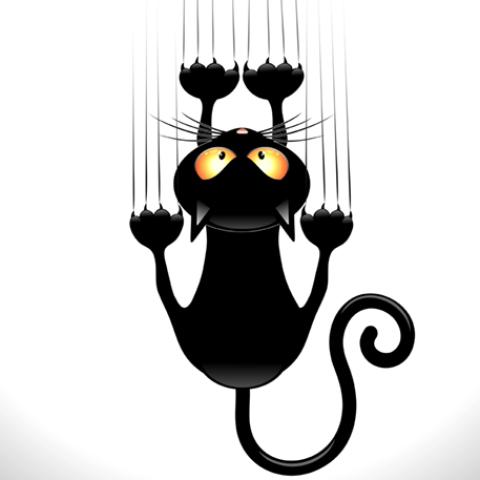 image cats_hr_0051-jpg