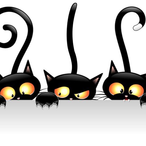 image cats_hr_0054-jpg
