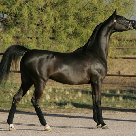 image farm_lr_0006-jpg