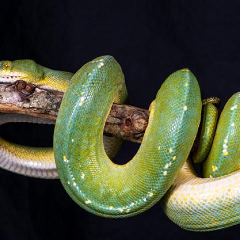 image wild_hr_0015-jpg