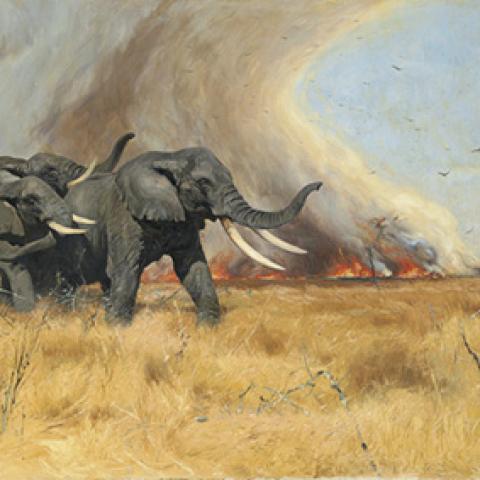 image art_lr_0014-jpg