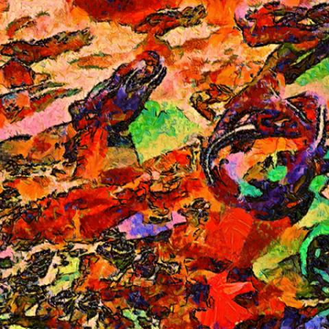 image art_lr_0026-jpg