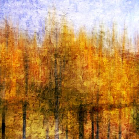image art_lr_0035-jpg