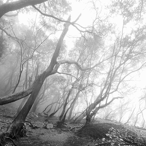 image blackandwhite_hr_0004-jpg