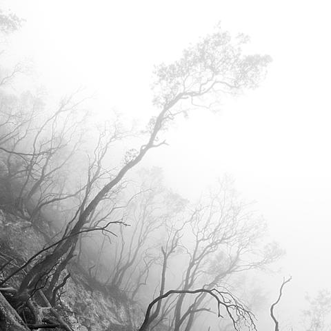 image blackandwhite_hr_0005-jpg