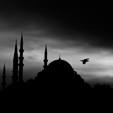 image blackandwhite_hr_0008-jpg