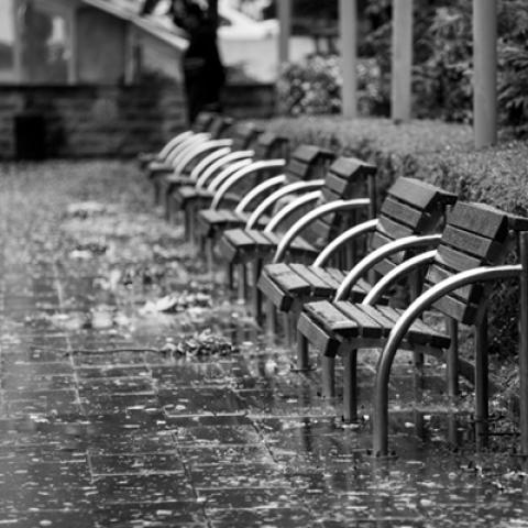 image blackandwhite_hr_0029-jpg