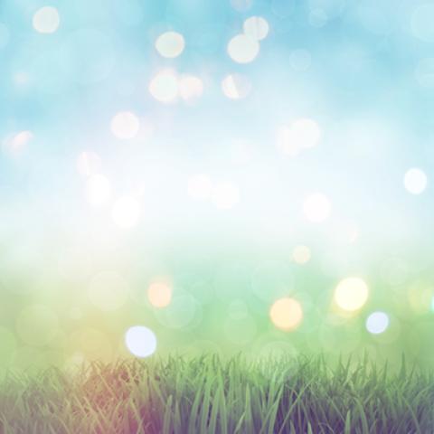 image bokeh_hr_0008-jpg