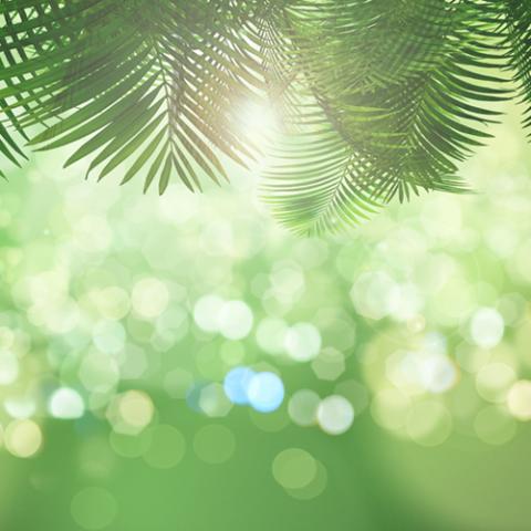 image bokeh_hr_0009-jpg