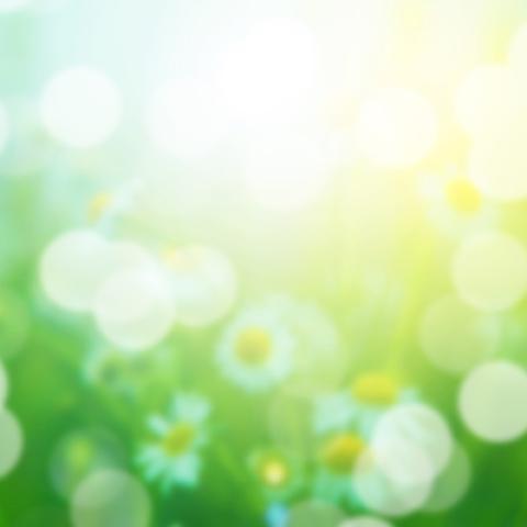 image bokeh_hr_0014-jpg