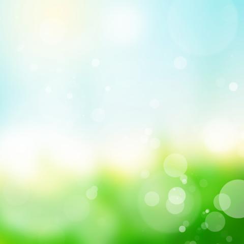 image bokeh_hr_0016-jpg