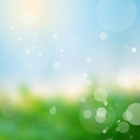 image bokeh_hr_0017-jpg