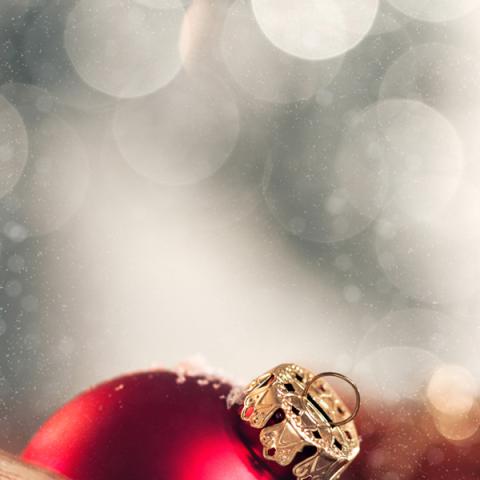 image bokeh_hr_0020-jpg