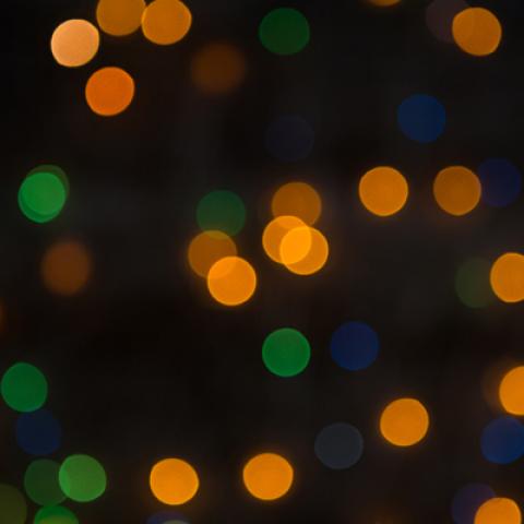 image bokeh_hr_0021-jpg