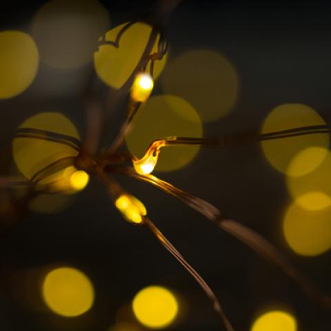 image bokeh_hr_0025-jpg