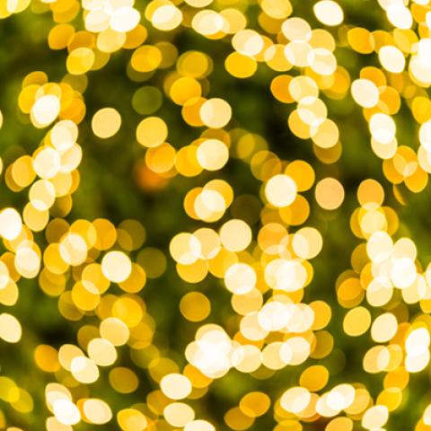 image bokeh_hr_0027-jpg