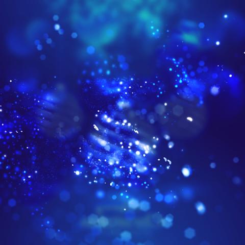 image bokeh_hr_0040-jpg