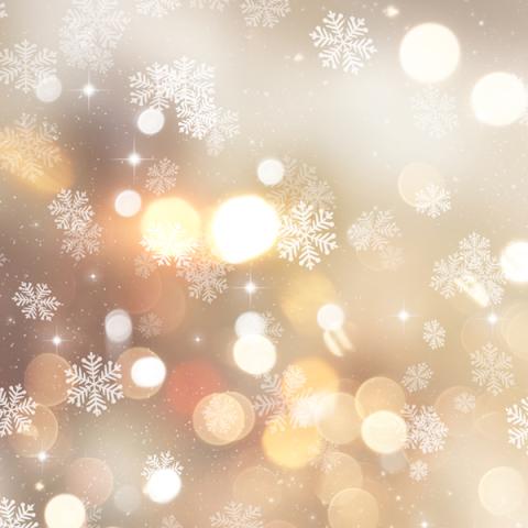 image bokeh_hr_0041-jpg