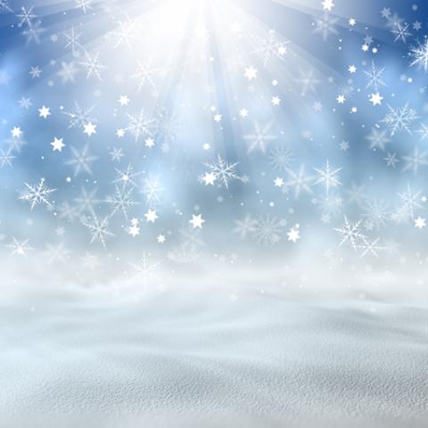 image bokeh_hr_0044-jpg