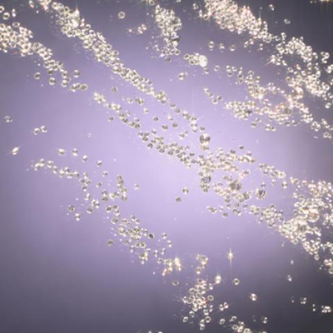 image bokeh_lr_0012-jpg