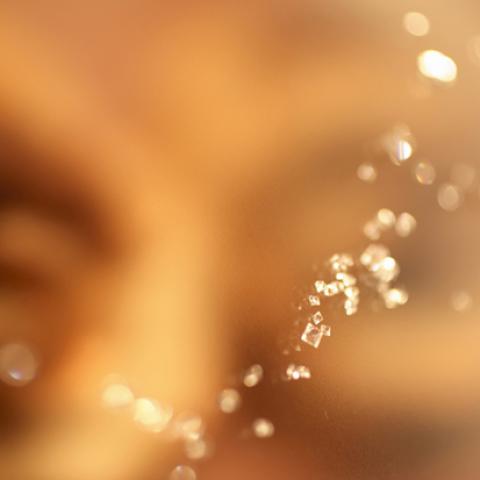 image bokeh_lr_0014-jpg
