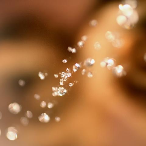 image bokeh_lr_0015-jpg
