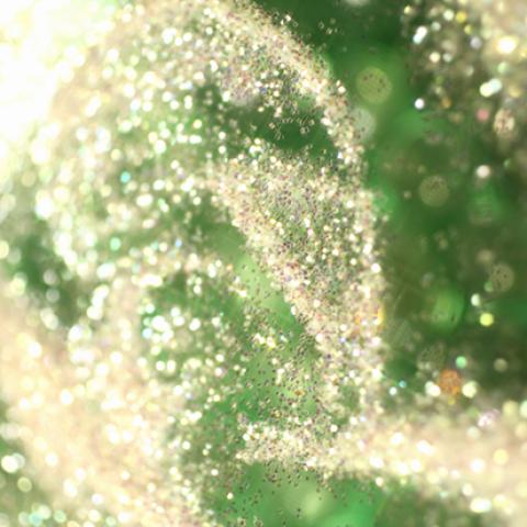 image bokeh_lr_0019-jpg