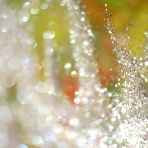 image bokeh_lr_0020-jpg