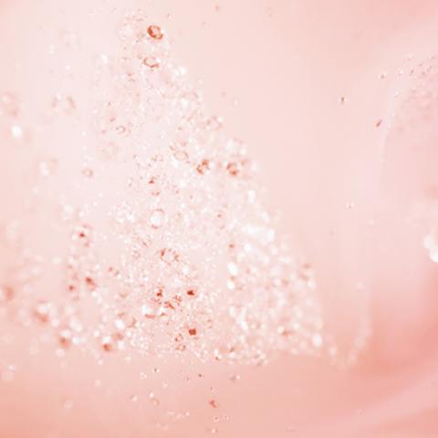 image bokeh_lr_0021-jpg