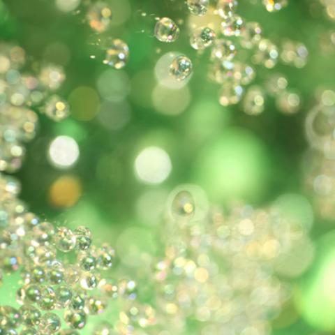 image bokeh_lr_0030-jpg