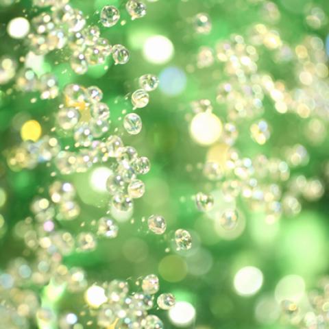 image bokeh_lr_0031-jpg