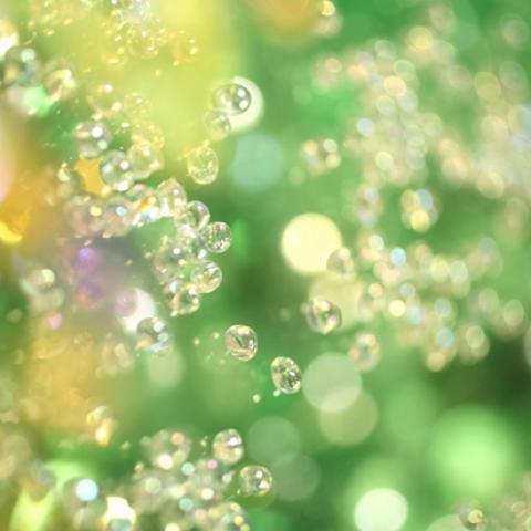 image bokeh_lr_0032-jpg