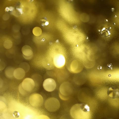 image bokeh_lr_0035-jpg