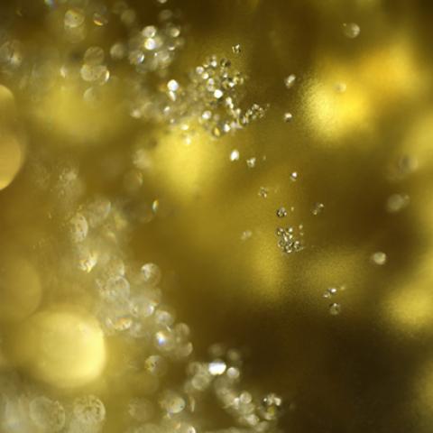 image bokeh_lr_0037-jpg