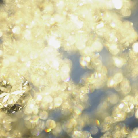 image bokeh_lr_0039-jpg