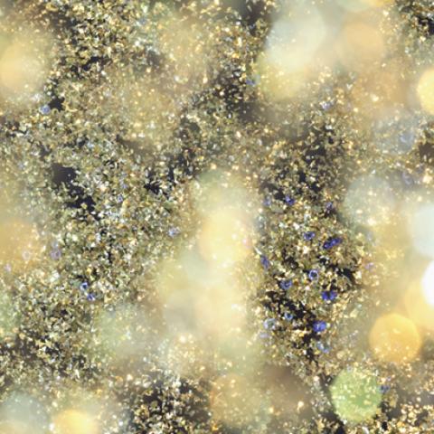 image bokeh_lr_0040-jpg