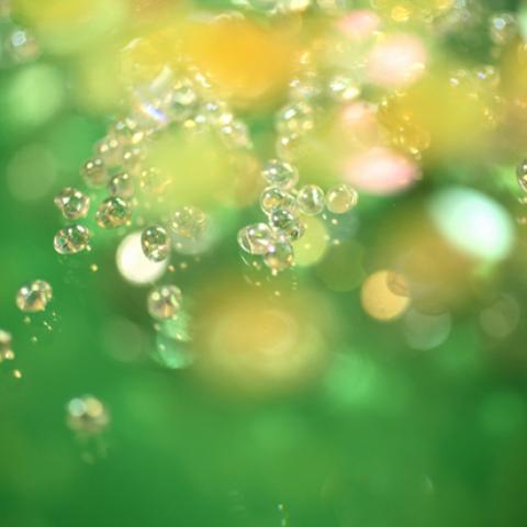 image bokeh_lr_0044-jpg