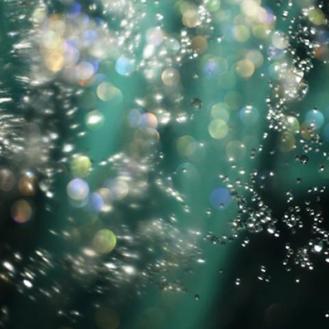 image bokeh_lr_0050-jpg