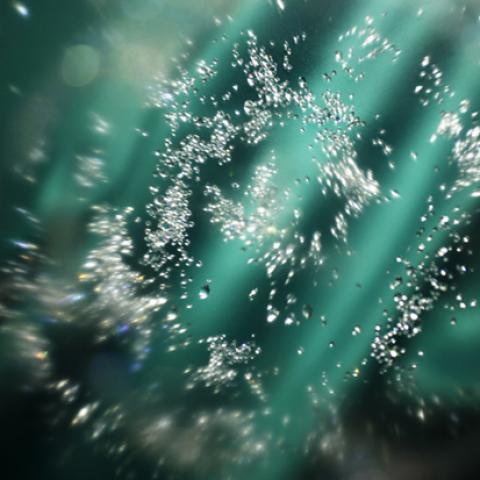 image bokeh_lr_0052-jpg