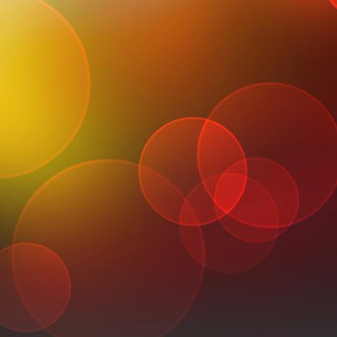 image bokeh_lr_0055-jpg