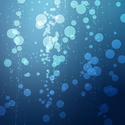 image bokeh_lr_0057-jpg