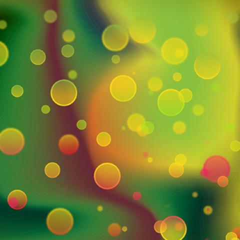 image bokeh_lr_0059-jpg
