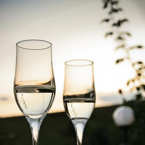 image champagne_lr_0008-jpg