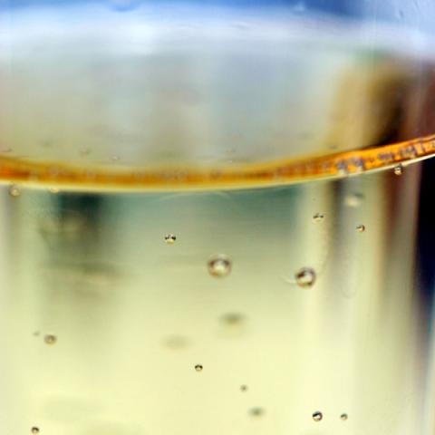 image champagne_lr_0010-jpg