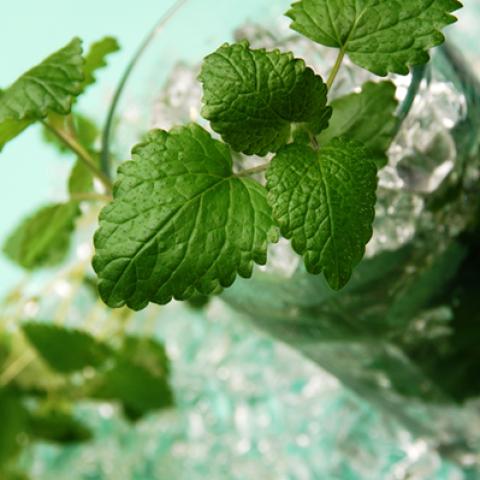 image cocktails_lr_0025-jpg